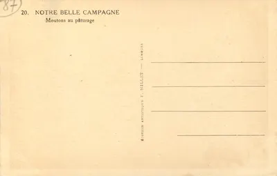 Pecore al pascolo — Serie 'Notre Belle Campagne' — Edizione Artistica F. Millet — Verso