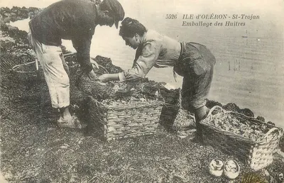 Ilha de Oléron - St-Trojan — Embalagem das Ostras — editor Aunis, n° 5526