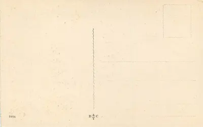 São Francisco em adoração — Cigoli — B & T C — Verso