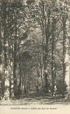 Arbois (Jura) — Avenida do Rei de Roma — Edição das Galerias Modernas