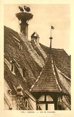 Obernai — Ninho de corujas — Braun & Cie, Mulhouse-Dornach
