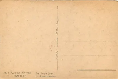 O Novo Touro — Paulus Potter — editor NEPOS — Verso