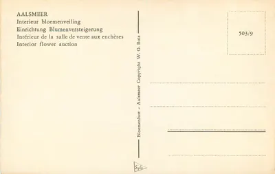 Aalsmeer — Binnenkant van de veilingzaal — W. G. Buis, n° 503/9 — Achterkant