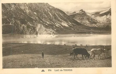 LAC DE TIGNES — vista do lago com montanhas nevadas e vacas — editor: Arts Photographiques, n° 274