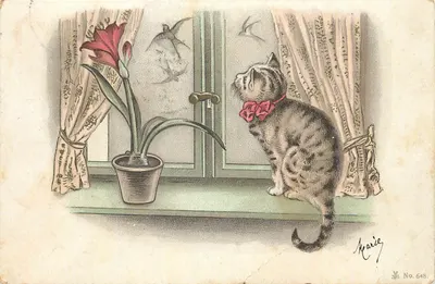 Gato na janela — com lírio vermelho — editor Marie, n° 648