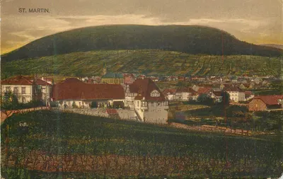 St. Martin — vista panorâmica com colina e vinhedos — editor não identificado, n° de série 54