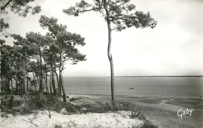 Praia de Gatseau — Ilha de Oléron — Edições Gaby