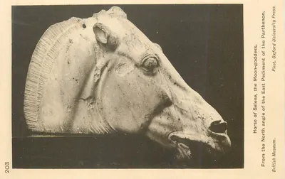 Cabeça de cavalo da deusa lunar Selêne — Pedimento oriental do Partenon — British Museum, Londres — Fot. Oxford University Press, n° 203