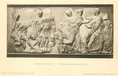 Gado para sacrifício, freguesia do Parthenon, lado sul — British Museum (Sala Elgin) — Donald Macbeth, Fleet Street
