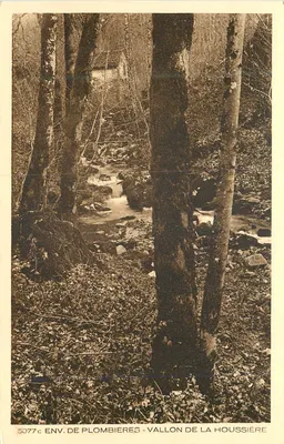 Env. de Plombières - Vallon de la Houssière — Coleção Les Vosges, editor Braun & Cie