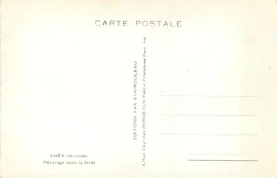 Piquenique na floresta — Arès (Gironde) — Éditions Veyrines-Française Rouleau — Verso