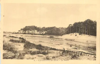 CAPBRETON-sur-MER - O Bouréti — Potana