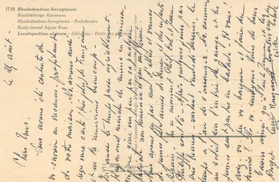Rhododendron ferrugineum e Leontopodium alpinum — editor Photo-Verlag Gygax, n° 1718 — Verso