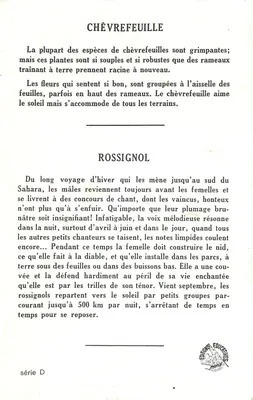 Chèvrefeuille e Rossignol — Éditions Éducatives Paris, série D — Verso