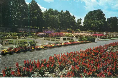O Jardim Botânico, Montreal — vista de jardins floridos — Les Messageries de Presse Benjamine, série P304509