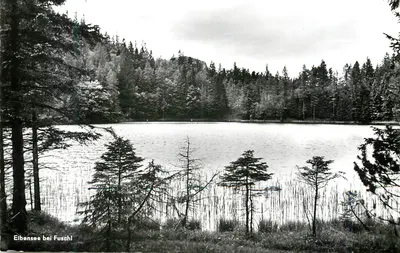 Eibensee bei Fuschl — lac entouré de forêts — Bergwelt Verlag, CJ S