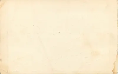 Arcachon — widok wybrzeża z sosnami i jachtami — wydawca CAD, numer serii nieczytelny — Rewers