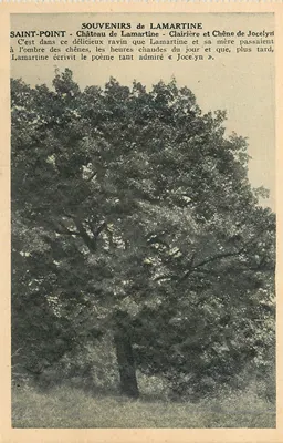 Saint-Point - Recordações de Lamartine - Castelo de Lamartine, Clariça e Carvalho de Jocelyn