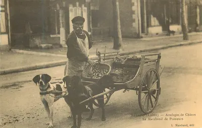 Briare (Loiret) — Ateliers de Cães — O Vendedor de Produtos Frescos — L. Marchand, editor