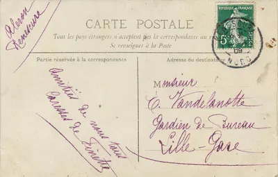 Cane su sedia — davanti a muro di mattoni — editore non visibile — Verso