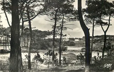 Les Pins e o Farol — La Tranche-sur-Mer — Edições Gaby