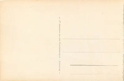 Lourdes - A Basílica e a Virgem Coroada — editor Cie Alsacienne des Arts Photomécéniques, Strasbourg — n° 41 — Verso