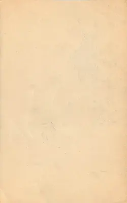 Bouquet de fleurs alpines — illustration — éditeur non visible — Rewers
