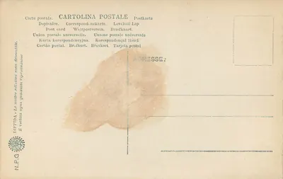 FIRENZE - Museo S. Marco - Gesù al Calvario — Diffida N.P.G. n°120 — Verso