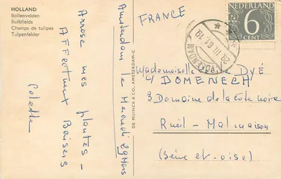 Pola tulipanów — Bollenvelden — DE MUINCK & CO. AMSTERDAM-C — Rewers