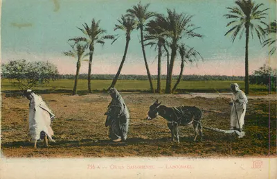 Oásis do Deserto — Laboragem — Neurdein Frères, Paris