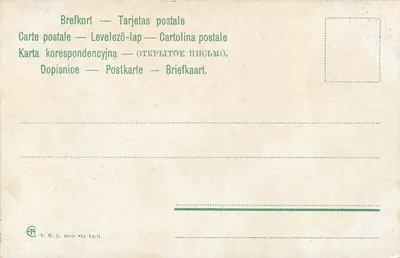 Domek drewniany pod drzewami — widok malowniczy — T. B. L. Série 851 — Rewers