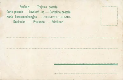 Kobieta z bykiem i wozem — krajobraz lasowy — wydawca nieznany — Rewers