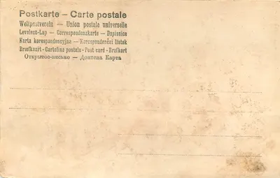 Três crianças em trajes de carnaval — editor União Postal Universal, n° 1428 — Verso