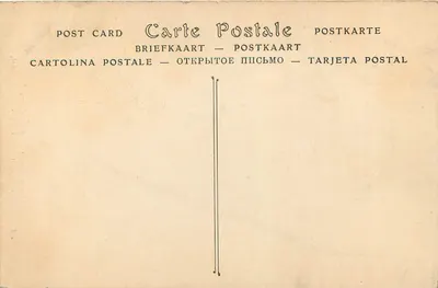 Cadeira da época de Luís XV — Museu dos Artes Decorativas — ND. Fot. n°208 — Verso