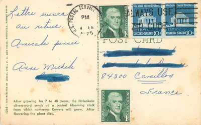 Haleakalā silversword — distribuição por Lesco, Ltd. — editor e número de série 1314 — Verso