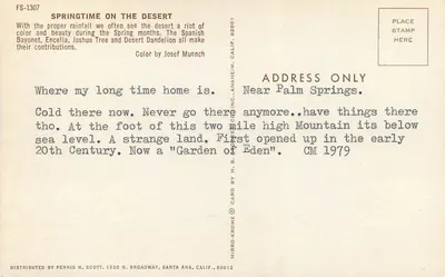 Palm Springs — Wiosenne porościone pustkowia — H.S. Mirro-Krome Co. Inc. — Rewers