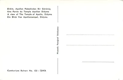 Szczyt Apolla w Didymie — szczegółowe rzeźby — Mustafa Fotograf Stüdyosu, n°123 — Rewers