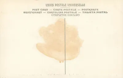 Wyleczenie Tobiego — MASSYS (Jean) — Muzeum Królewskie w Antwerpii (252) — Rewers