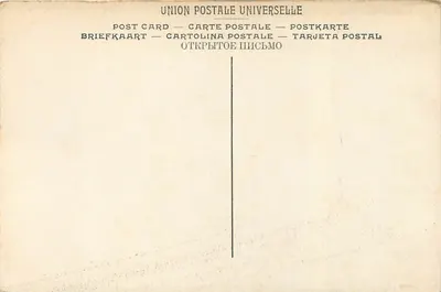 WYNANTS — Pejzaż — Muzeum w Brukseli, nr 299 LL — Rewers