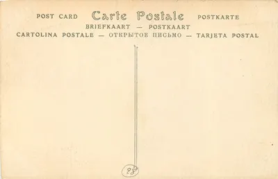 Katedra w Chartres — Nef i chórek — ND Phot. — Rewers