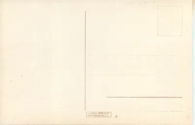 Strasbourg i. ELS. — Cathédrale vue depuis l'ancien château — éditeur Ludwig Bremer, n°3 — Verso