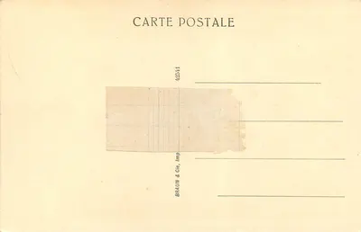 De Drie Gratieën — Botticelli — Academie van de Schone Kunsten, Florence — Achterkant