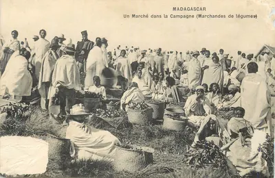 Madagascar — Um Mercado na Campina (Vendedoras de Legumes) — Union Postale Universelle