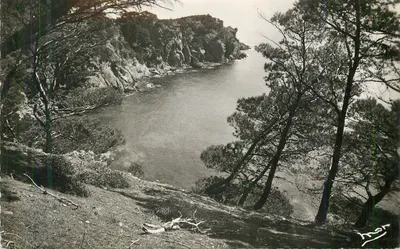 Ilha de Porquerolles — A Grande Cale — Foto Verdadeira