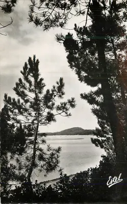 Hosségor — Vista sobre o lago — Estel
