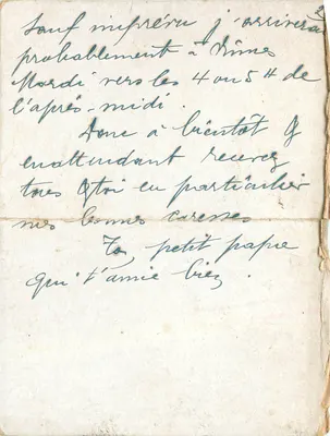 Fleurs de cerisier et de framboisier — décor floral avec motif central — éditeur non visible — Verso