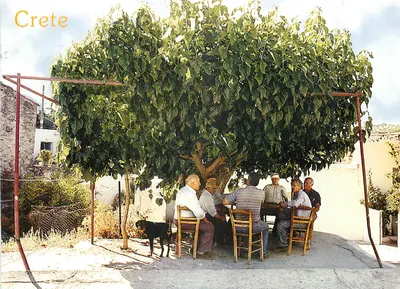 Crète — Sous un grand arbre — Éditions MYSTIX Iraklion