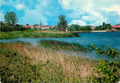 Lago de Lindre Basse — Parque Natural Regional da Lorena — Edição Pierron, n° PN 55
