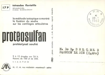 Ryba z plamkami — tetraodon fluviatilis — Roland-Marie S.A. Laboratoires — Rewers