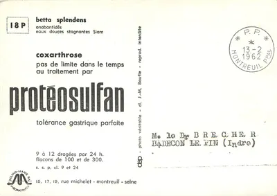 Dois bettas splendens — aquário — Roland-Marie Laboratories, n°18P — Verso